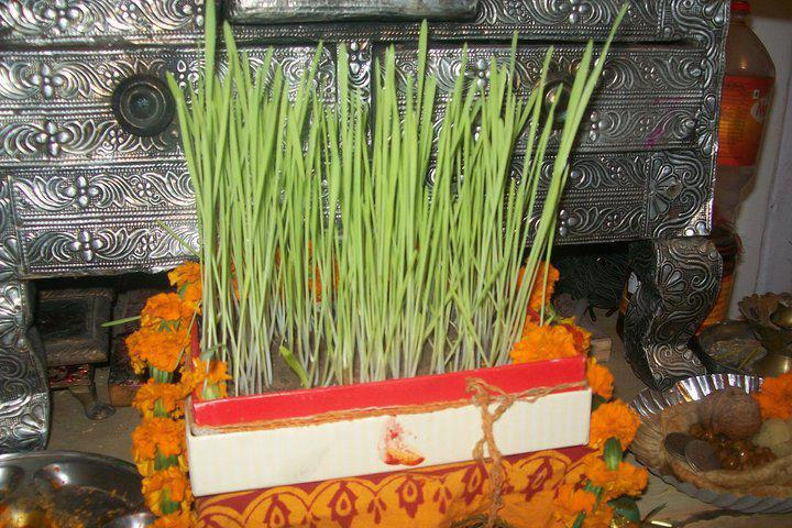 Harela: A Folk festival of Kumaon, Uttarakhand